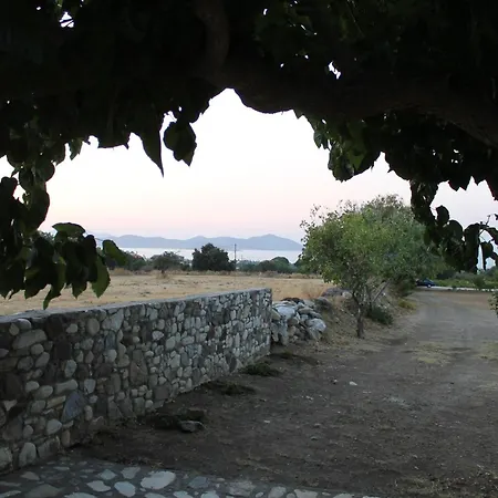 The Stone Kos Holiday home *