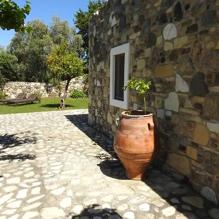 The Stone Kos *