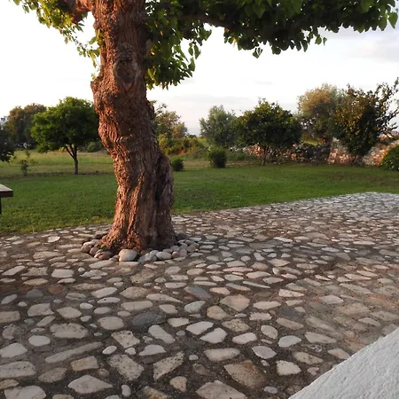 The Stone Kos Town