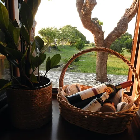 The Stone Kos Zipárion