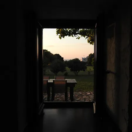 The Stone Kos * Zipárion