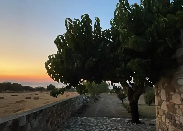 The Stone Kos بيت للعطل