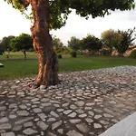 The Stone Kos Ziparion