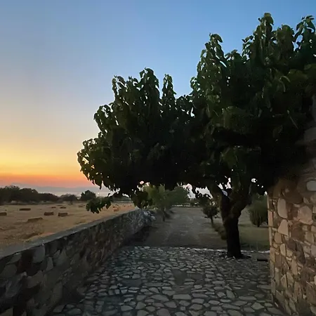 The Stone Kos Feriehus