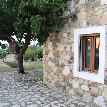 The Stone Kos Zipárion