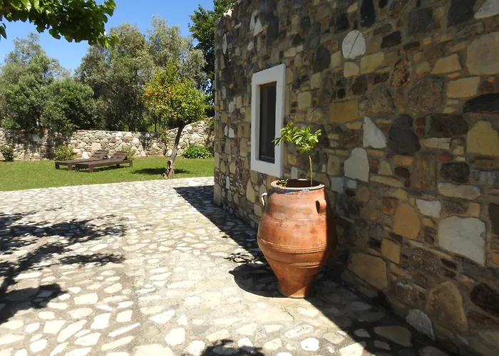 The Stone Kos *